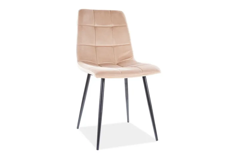 Axarnes Matstol - Sammet/Beige/Svart — Sammet/Beige/Svart