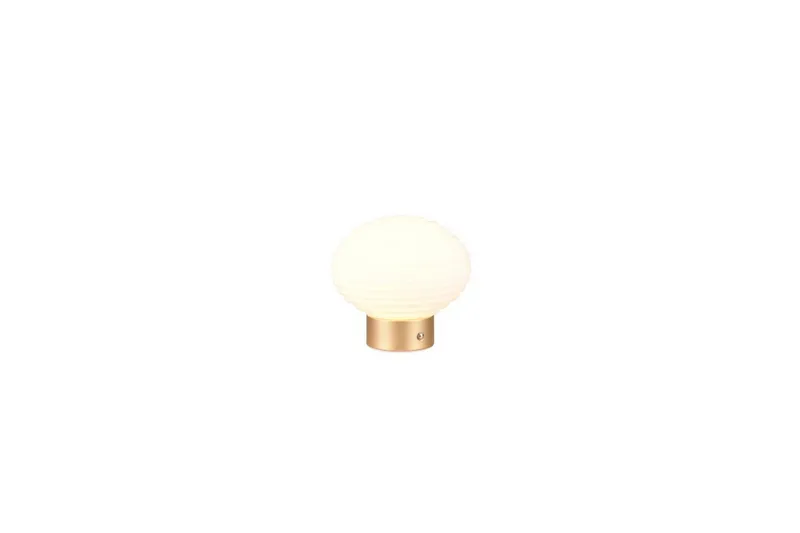Bordslampa TRIO Earl Mattmässing/vit - Mattmässing/vit — Trio Lighting