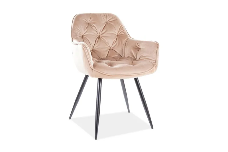 Eiber Karmstol - Sammet/Beige/Svart — Sammet/Beige/Svart
