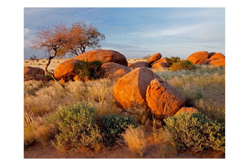 Fototapet Afrikanska Landskapet Namibia 250x193 - Artgeist sp. z o. o. — Artgeist sp. z o. o.