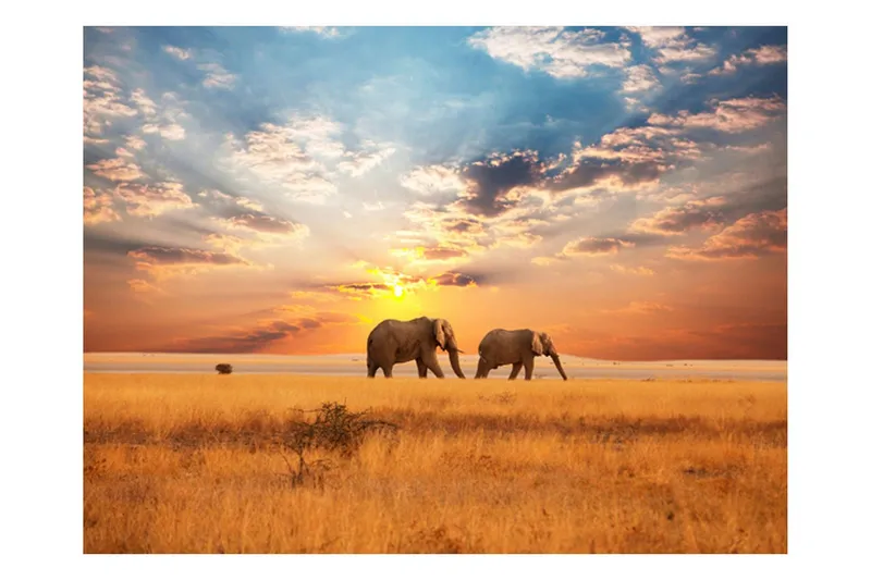 Fototapet Afrikanska Savannen Elefanter 350x270 - Artgeist sp. z o. o. — Artgeist sp. z o. o.
