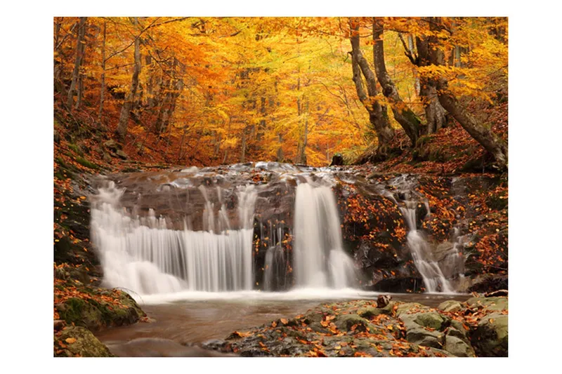 Fototapet Autumn Landscape Waterfall In Forest 400x309 - Artgeist sp. z o. o. — Artgeist sp. z o. o.