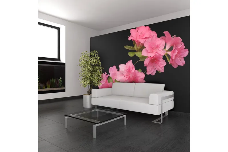 Fototapet Azalea In Black 400x309 - Artgeist sp. z o. o. — Artgeist sp. z o. o.