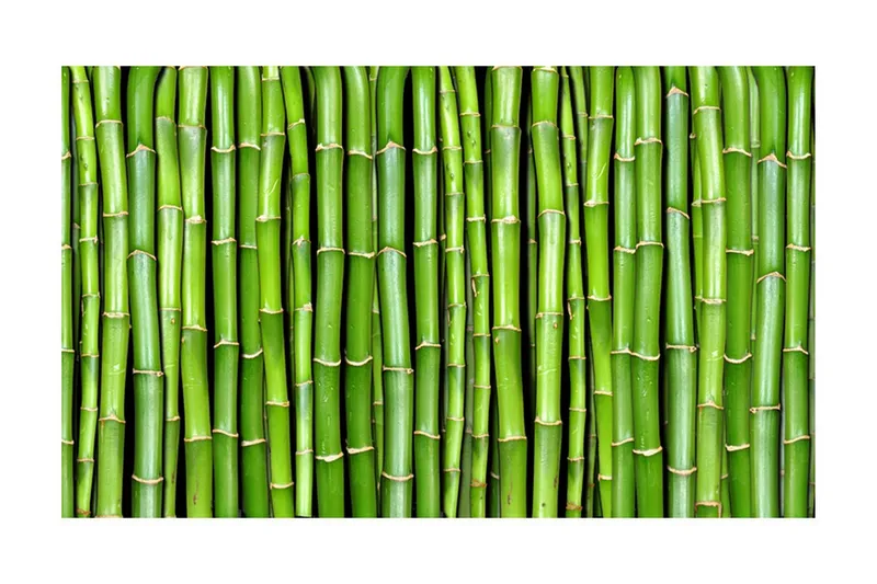 Fototapet Bamboo Wall 450x270 - Artgeist sp. z o. o. — Artgeist sp. z o. o.