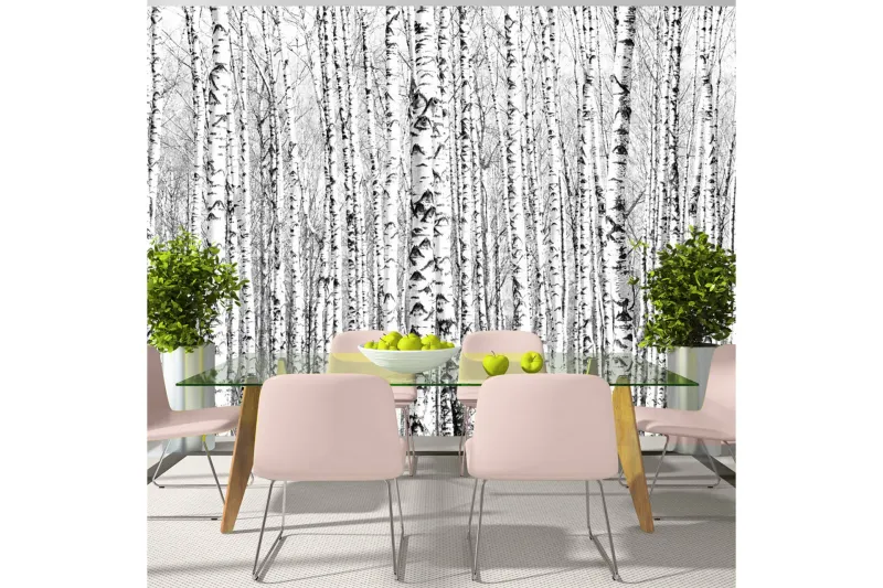 Fototapet Birch Forest 400x280 - Artgeist sp. z o. o. — Artgeist sp. z o. o.