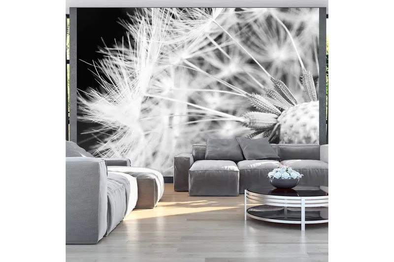 Fototapet Black And White Dandelion 350x245 - Artgeist sp. z o. o. — Artgeist sp. z o. o.