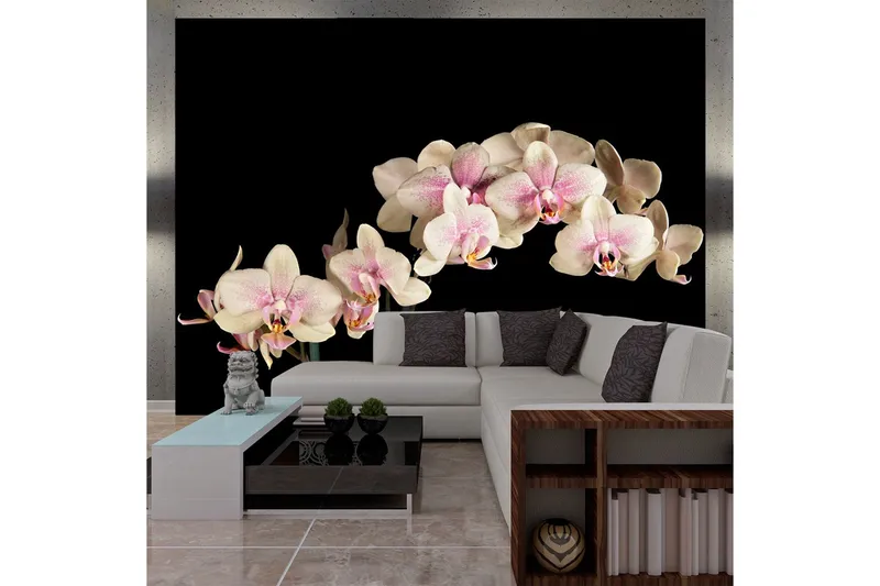 Fototapet Blooming Orchid 200x154 - Artgeist sp. z o. o. — Artgeist sp. z o. o.