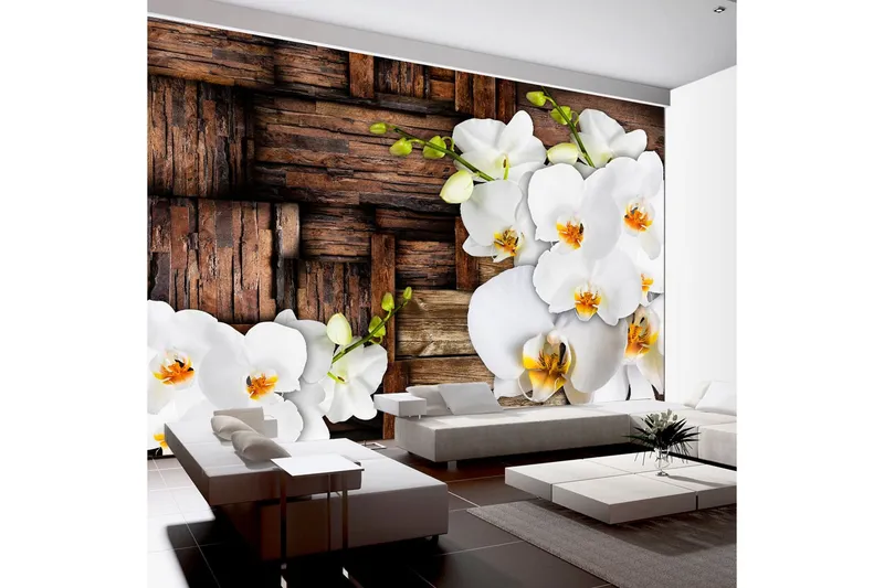 Fototapet Blooming Orchids 200x140 - Artgeist sp. z o. o. — Artgeist sp. z o. o.