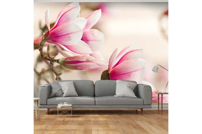 Fototapet Branch Of Magnolia Tree 250x193 - Artgeist sp. z o. o. — Artgeist sp. z o. o.