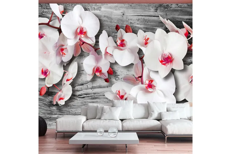 Fototapet Callous Orchids 100x70 - Artgeist sp. z o. o. — Artgeist sp. z o. o.