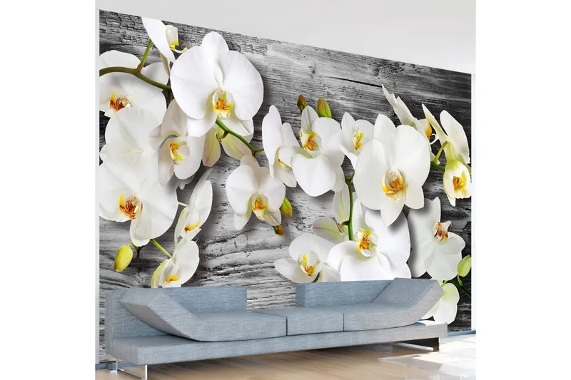 Fototapet Callous Orchids III 350x245 - Artgeist sp. z o. o. — Artgeist sp. z o. o.