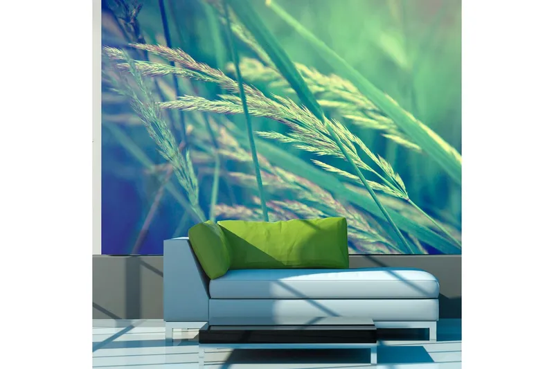 Fototapet Cereal Field 200x154 - Artgeist sp. z o. o. — Artgeist sp. z o. o.