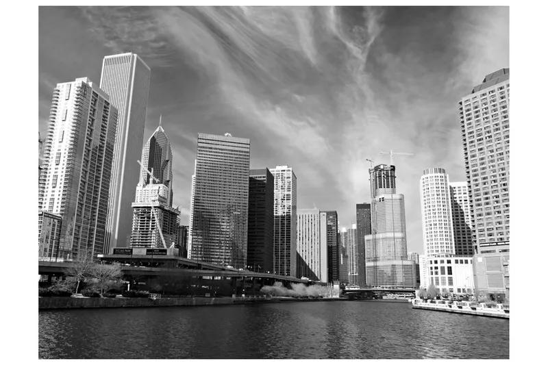 Fototapet Chicago Skyline Svartvitt 400x309 - Artgeist sp. z o. o. — Artgeist sp. z o. o.