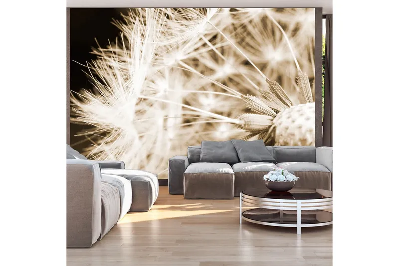 Fototapet Dandelion Sepia 350x245 - Artgeist sp. z o. o. — Artgeist sp. z o. o.