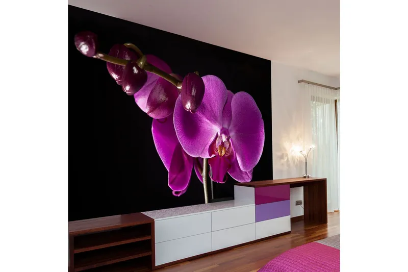 Fototapet Elegant Orchids 250x193 - Artgeist sp. z o. o. — Artgeist sp. z o. o.