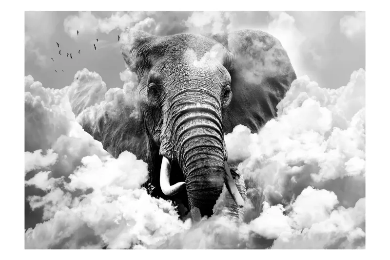 Fototapet Elephant In The Clouds Black And White 300x210 - Artgeist sp. z o. o. — Artgeist sp. z o. o.