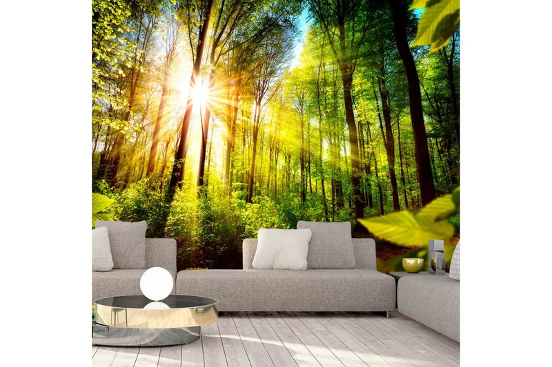 Fototapet Forest Hideout 350x245 - Artgeist sp. z o. o. — Artgeist sp. z o. o.