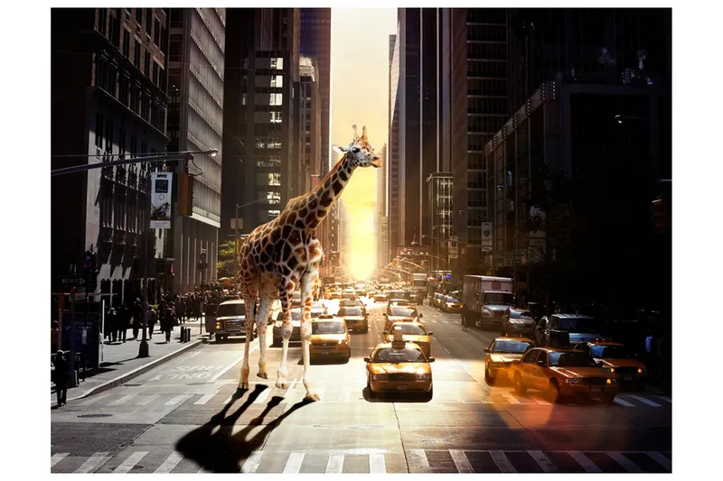 Fototapet Giraff I Den Stora Staden 200x154 - Artgeist sp. z o. o. — Artgeist sp. z o. o.