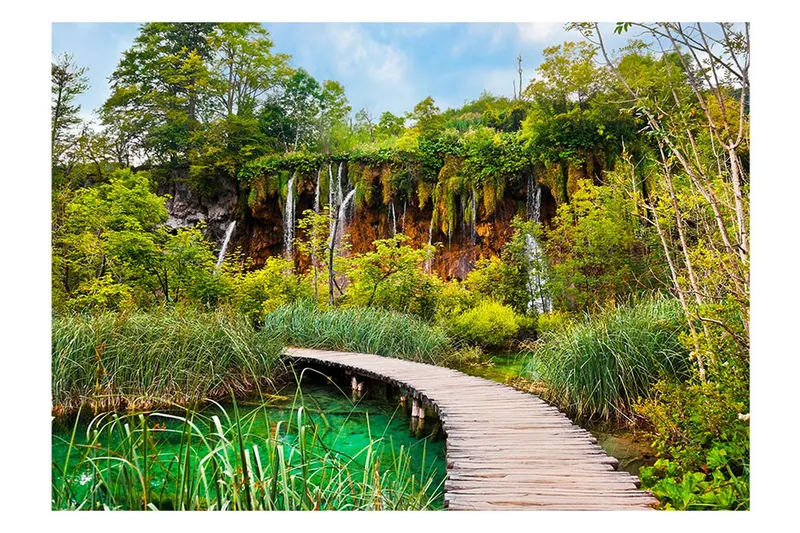 Fototapet Green Oasis 200x140 - Artgeist sp. z o. o. — Artgeist sp. z o. o.