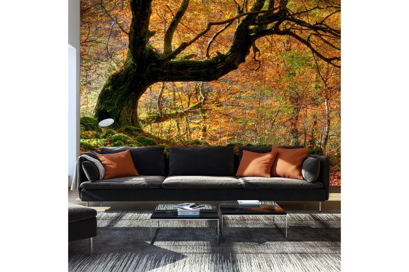 Fototapet Höst Skog Och Löv 450x270 - Artgeist sp. z o. o. — Artgeist sp. z o. o.
