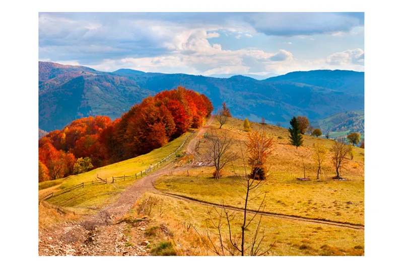 Fototapet Hösten Landskap I Karpaterna 200x154 - Artgeist sp. z o. o. — Artgeist sp. z o. o.