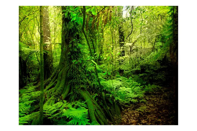 Fototapet Jungle 400x309 - Artgeist sp. z o. o. — Artgeist sp. z o. o.