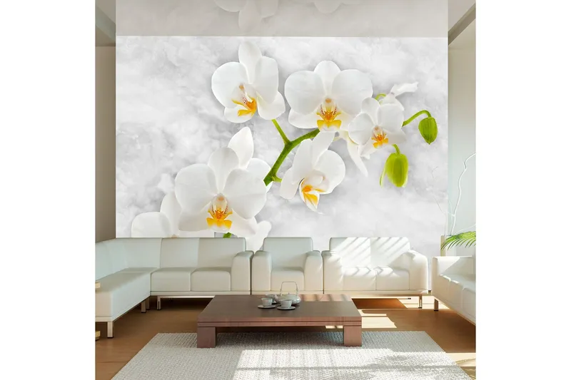 Fototapet Lyrical Orchid White 150x105 - Artgeist sp. z o. o. — Artgeist sp. z o. o.