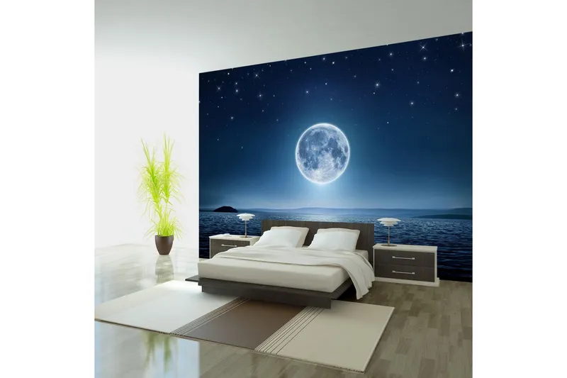 Fototapet Moonlit Night 200x140 - Artgeist sp. z o. o. — Artgeist sp. z o. o.