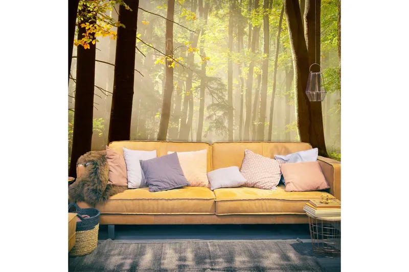 Fototapet Mysterious Forest Path 350x270 - Artgeist sp. z o. o. — Artgeist sp. z o. o.