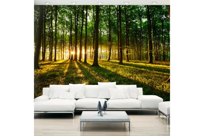 Fototapet Mystical Morning 300x210 - Artgeist sp. z o. o. — Artgeist sp. z o. o.