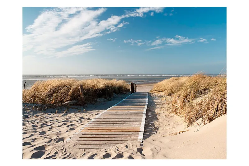 Fototapet Nordsjöns Strand Langeoog 250x193 - Artgeist sp. z o. o. — Artgeist sp. z o. o.