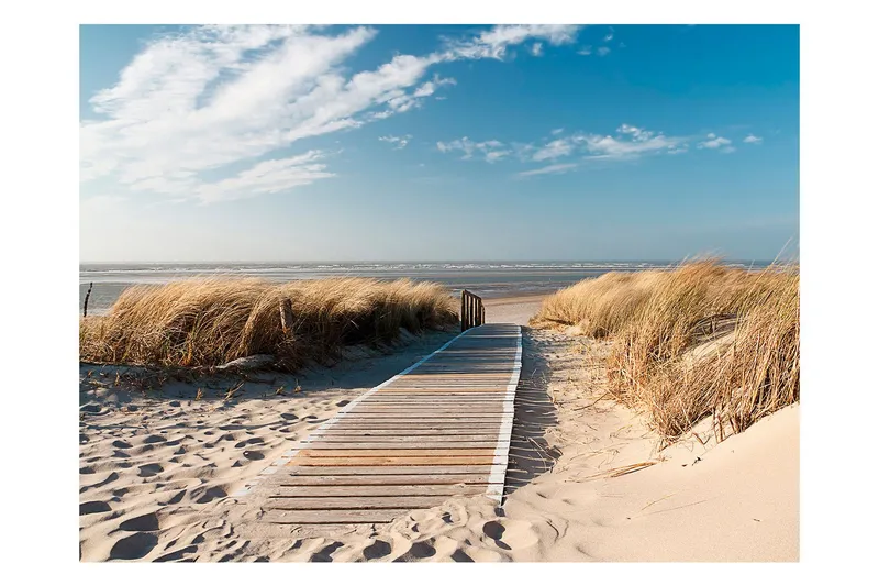 Fototapet Nordsjöns Strand Langeoog 350x270 - Artgeist sp. z o. o. — Artgeist sp. z o. o.
