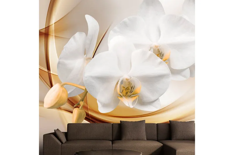 Fototapet Orchid Blossom 300x210 - Artgeist sp. z o. o. — Artgeist sp. z o. o.