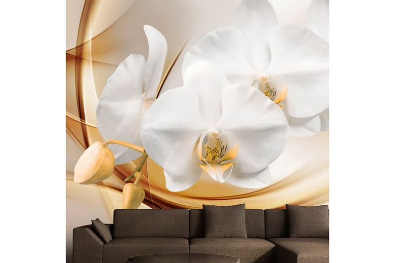 Fototapet Orchid Blossom 350x245 - Artgeist sp. z o. o. — Artgeist sp. z o. o.