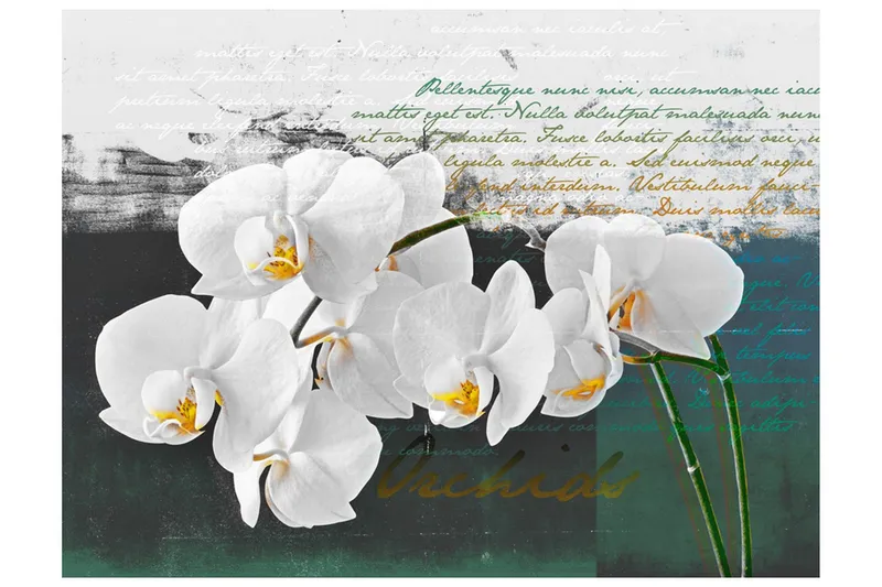 Fototapet Orkidé Poet Inspiration 350x270 - Artgeist sp. z o. o. — Artgeist sp. z o. o.