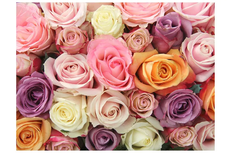 Fototapet Pastel Roses 300x231 - Artgeist sp. z o. o. — Artgeist sp. z o. o.