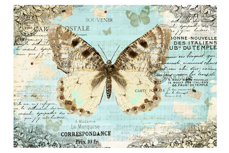 Fototapet Postcard With Butterfly 250x175 - Artgeist sp. z o. o. — Artgeist sp. z o. o.