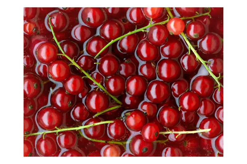 Fototapet Röda Vinbär Badade I Vatten 200x154 - Artgeist sp. z o. o. — Artgeist sp. z o. o.