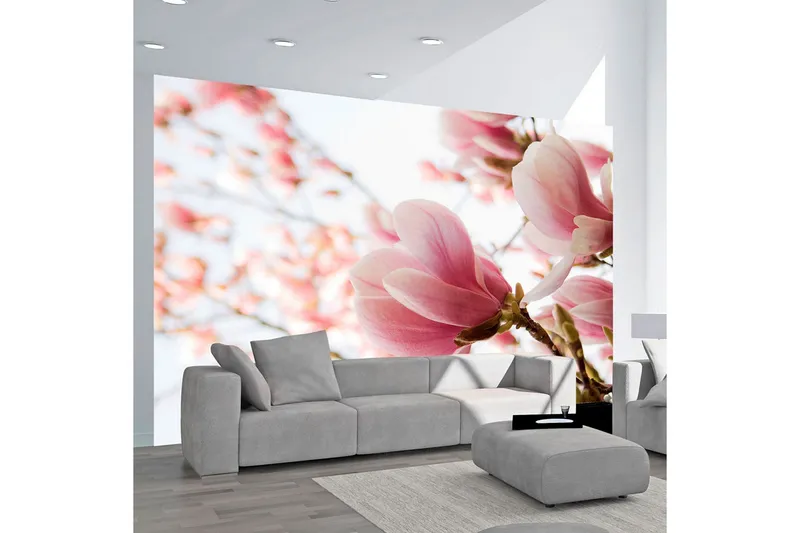 Fototapet Rosa Magnolia 350x270 - Artgeist sp. z o. o. — Artgeist sp. z o. o.