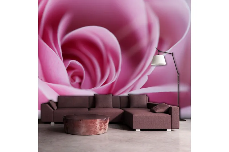 Fototapet Rosa Ros 300x231 - Artgeist sp. z o. o. — Artgeist sp. z o. o.