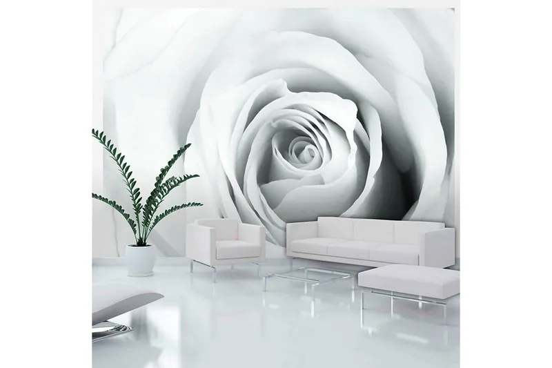 Fototapet Rose Charade 250x175 - Artgeist sp. z o. o. — Artgeist sp. z o. o.