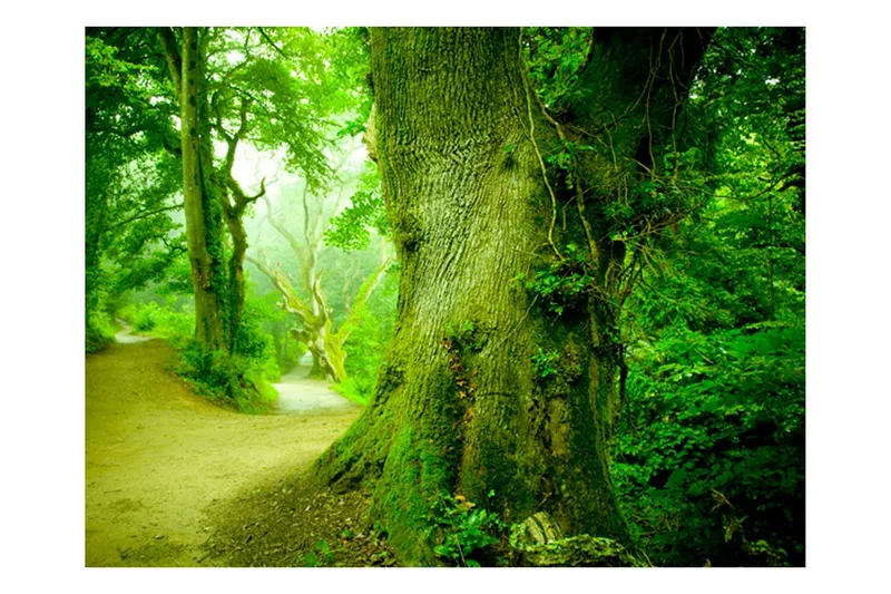Fototapet Skog Vägen 300x231 - Artgeist sp. z o. o. — Artgeist sp. z o. o.