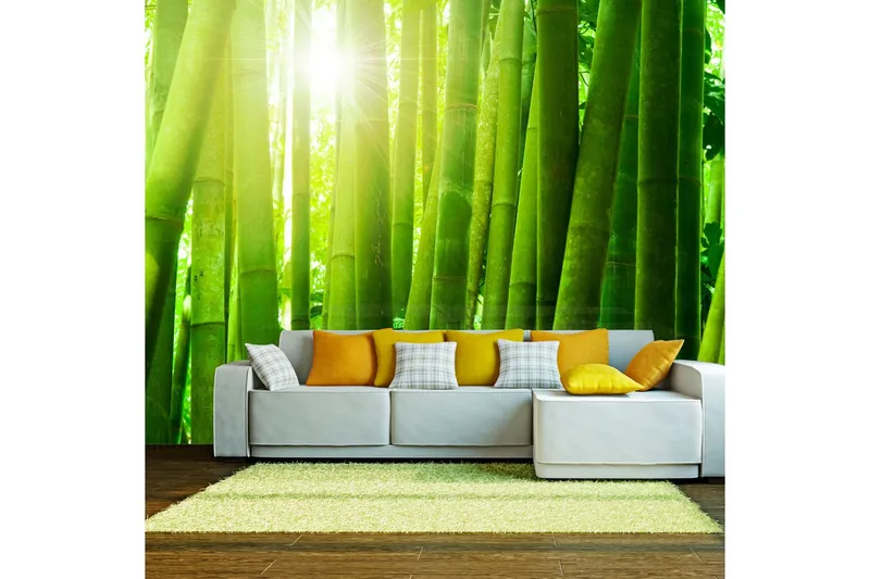 Fototapet Sol Och Bambu 350x270 - Artgeist sp. z o. o. — Artgeist sp. z o. o.