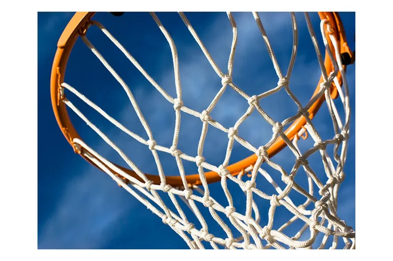 Fototapet Sport Basketball 250x193 - Artgeist sp. z o. o. — Artgeist sp. z o. o.