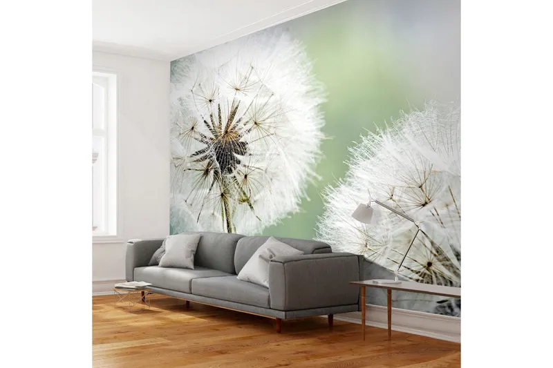 Fototapet Två Maskrosor 250x193 - Artgeist sp. z o. o. — Artgeist sp. z o. o.