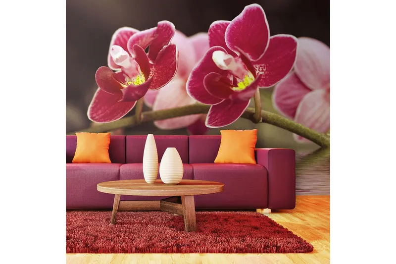 Fototapet Vacker Orkidé Blommor På Vattnet 450x270 - Artgeist sp. z o. o. — Artgeist sp. z o. o.