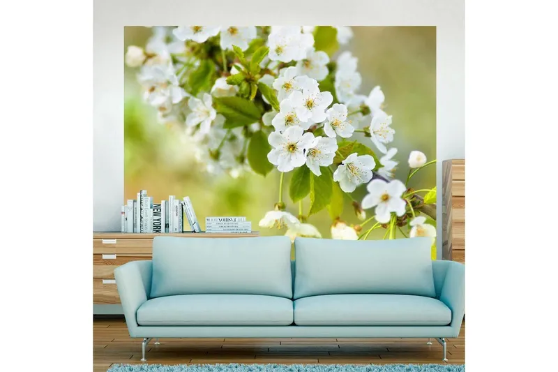 Fototapet Vackra Känsliga Körsbär Blommar 250x193 - Artgeist sp. z o. o. — Artgeist sp. z o. o.