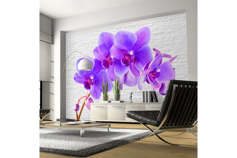 Fototapet Violet Excitation 350x245 - Artgeist sp. z o. o. — Artgeist sp. z o. o.