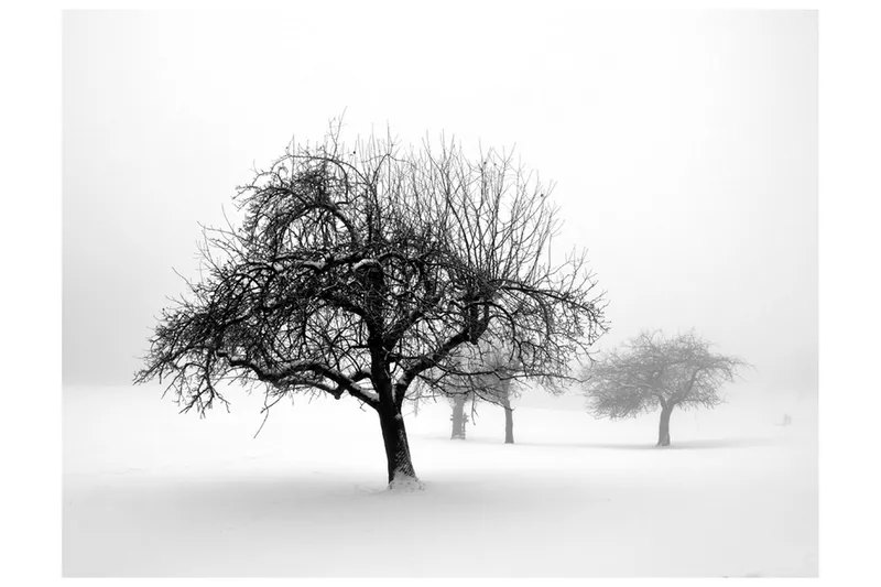 Fototapet Winter Trees 300x231 - Artgeist sp. z o. o. — Artgeist sp. z o. o.