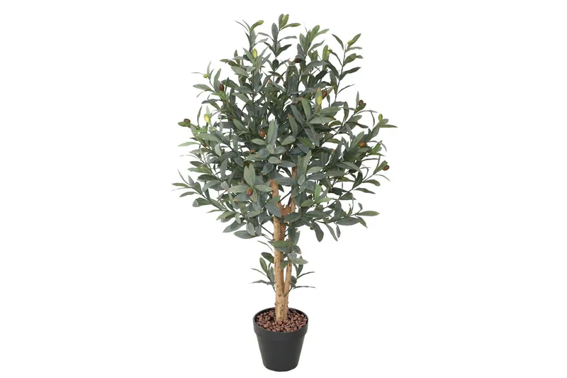 Grön Växt Oliv H90 cm 2 Grenar Svart Kruka